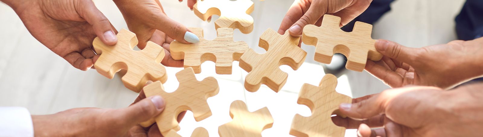 Limited Company vs. Sole Proprietorship in Thailand